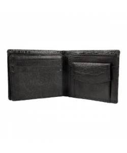 polo 500 5 Wallet + golden aviator